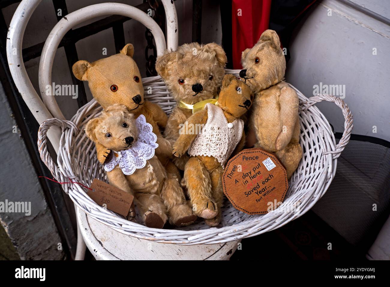 Orsetti vintage in un cesto all'aperto e negozio di antiquariato nella New Town di Edimburgo. Foto Stock
