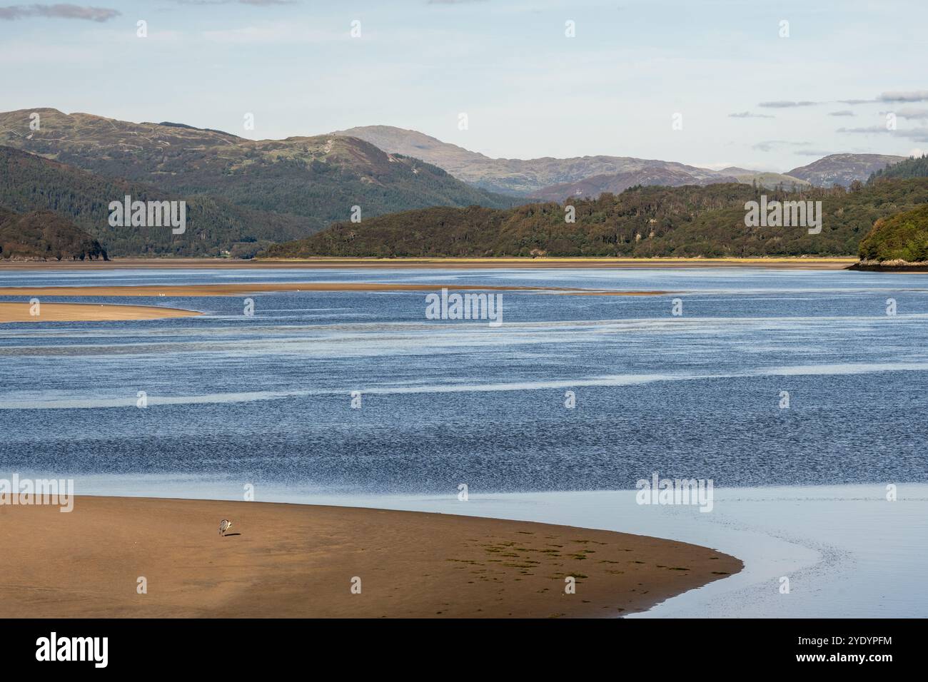 Le montagne di Snowdonia sorgono dietro l'estuario del fiume Afon Mawddach a Barmouth nel Galles del Nord. Foto Stock