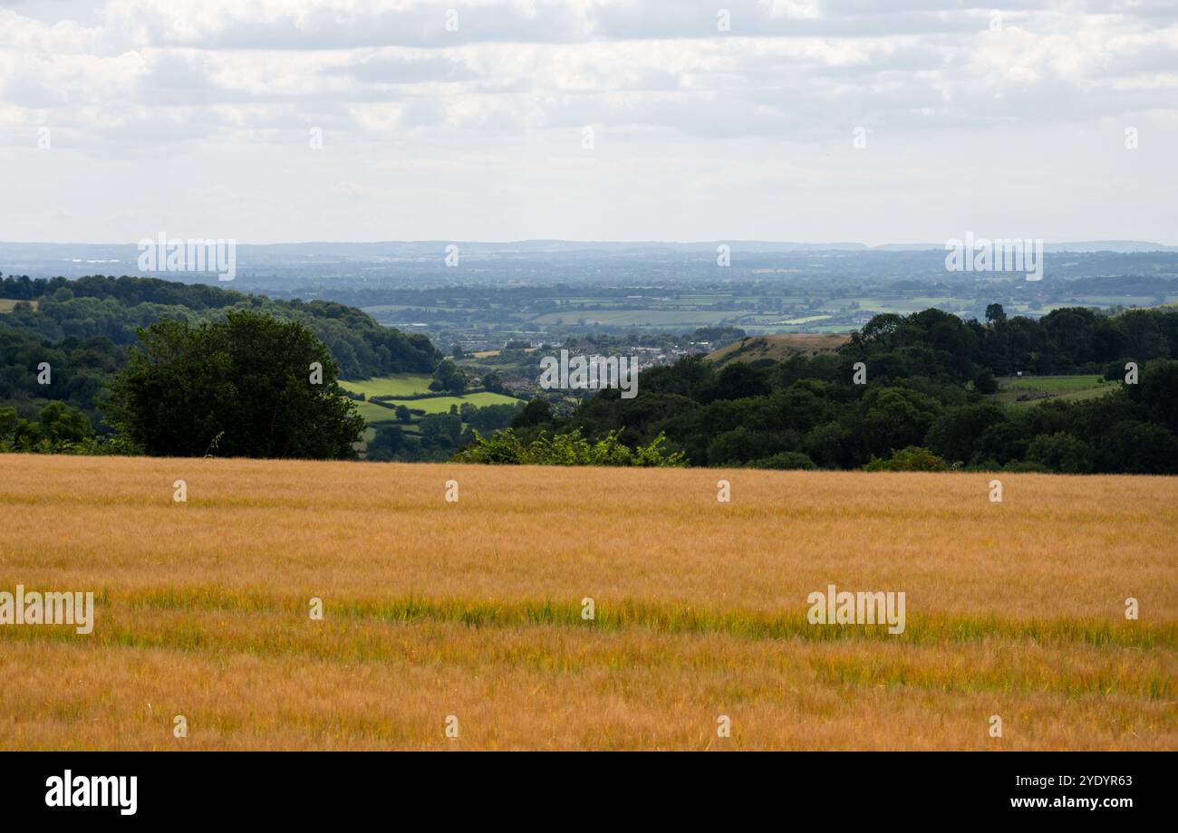 Il paesaggio del South Gloucestershire è disposto sotto le colline Cotswold Edge a Wotton-under-Edge. Foto Stock