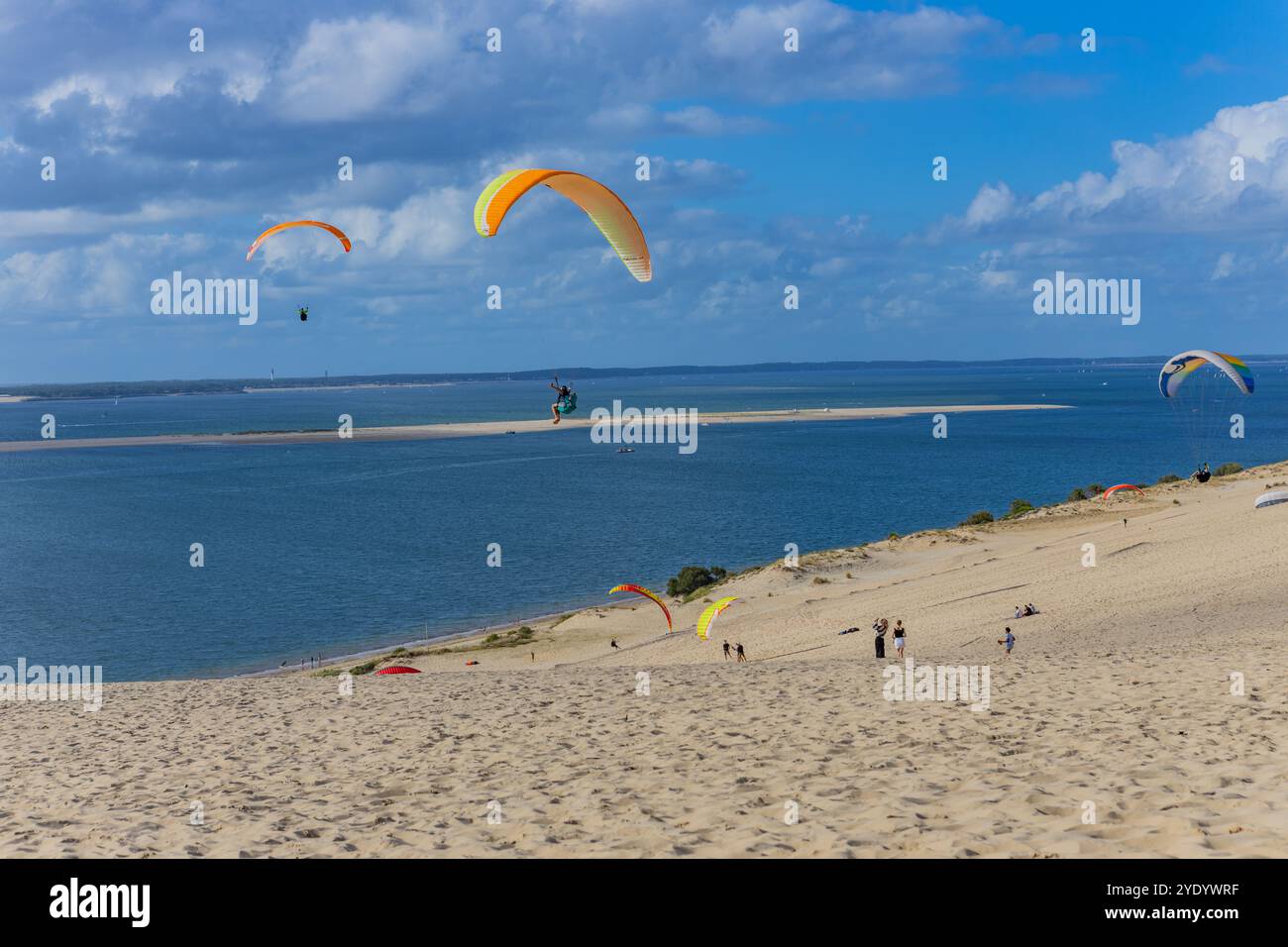 Duna di Pilat, Francia - 14 agosto 2024: Persone in parapendio presso la grande duna di Pilat, bacino di Arcachon, Nouvelle Aquitaine, Francia. Foto Stock