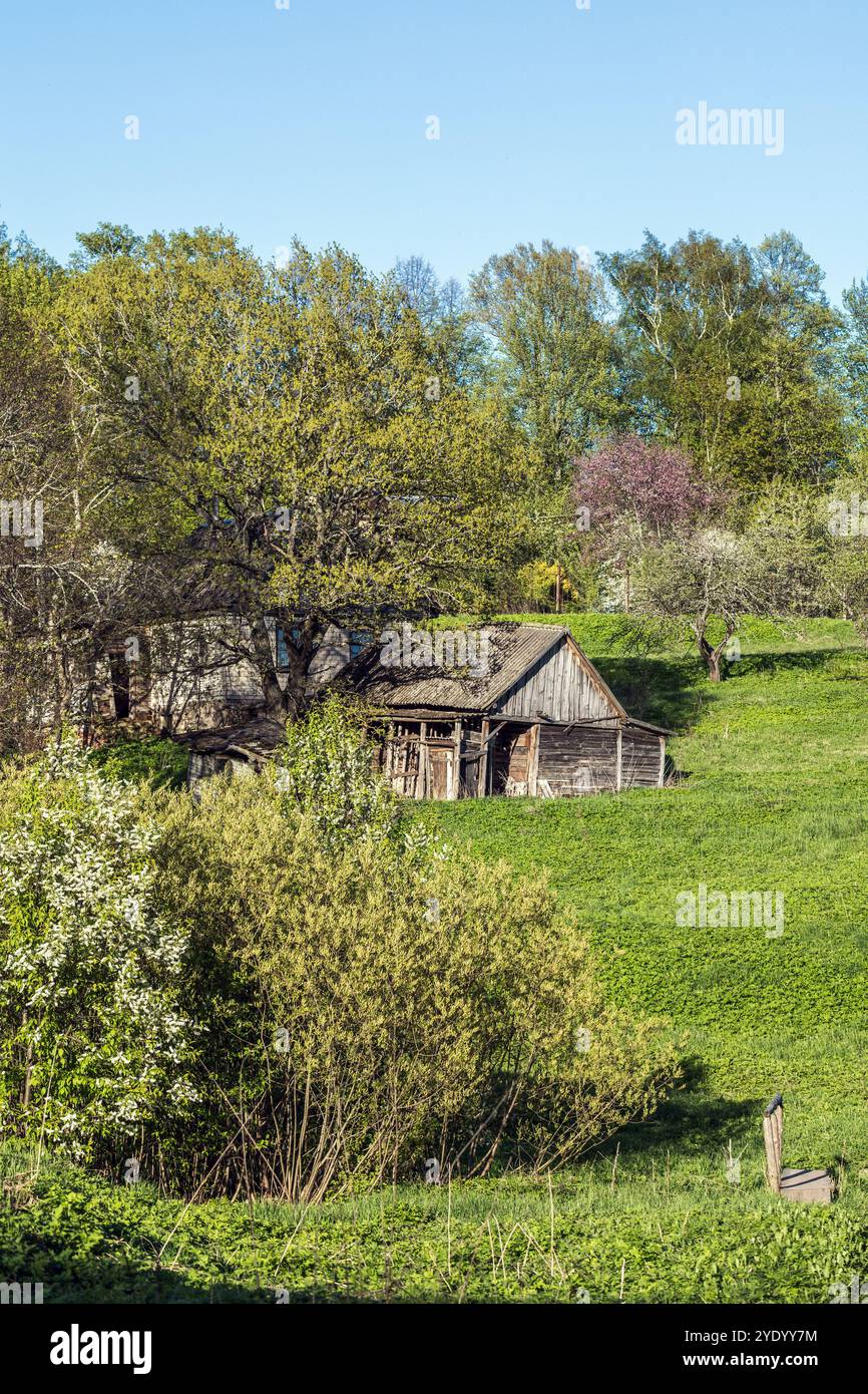 Paesaggio rurale russo, fotografia verticale scattata in un giorno d'estate. Case abbandonate e fienili di legno sono sulla collina. Pushkinogorsky Distretto di PS Foto Stock