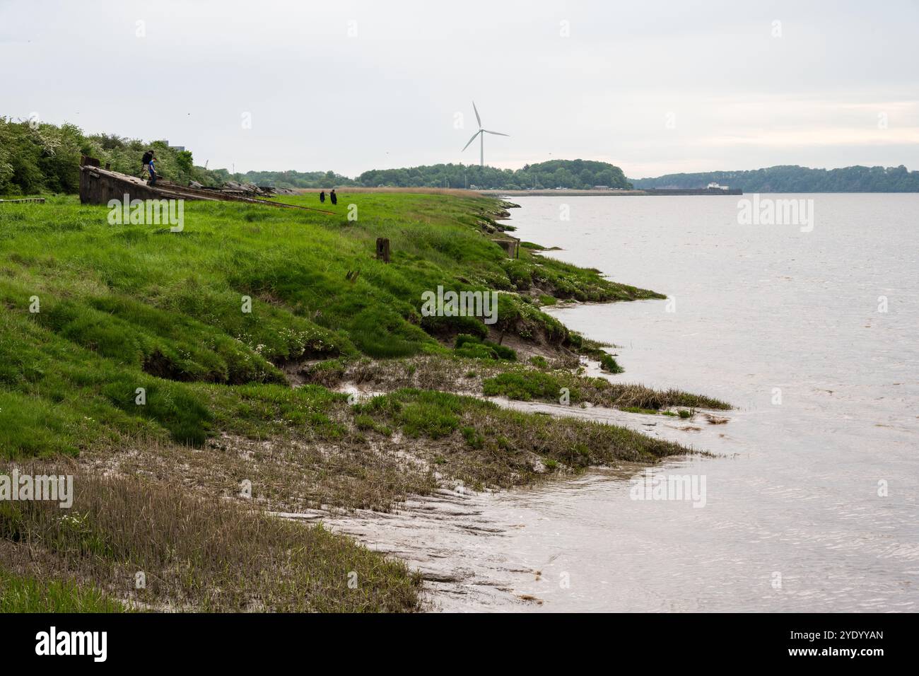 Gli escursionisti esplorano le Purton Hulks lungo l'estuario del Severn e il Gloucester & Sharpness Canal lungo il sentiero Severn Way nel Gloucestershire. Foto Stock