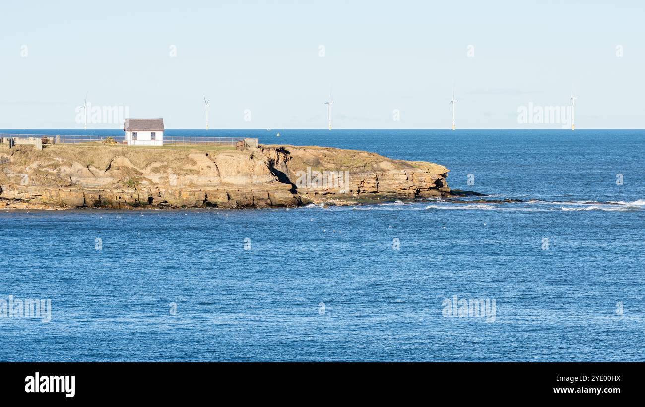 Tynemouth, England, Regno Unito - 4 Febbraio 2019: turbine eoliche stand alto oltre il mare del Nord dietro le scogliere di Cullercoats Bay di Tyneside. Foto Stock