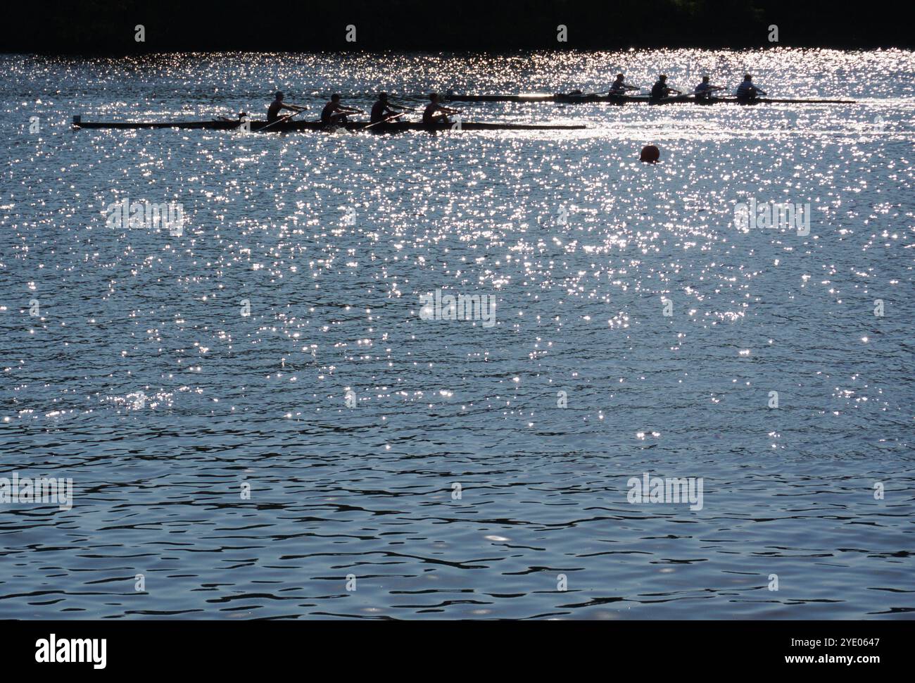 I canottieri sono sagomati mentre gareggiano nella regata annuale del Navy Day sul fiume Schuylkill a Philadelphia, Pennsylvania. Foto Stock