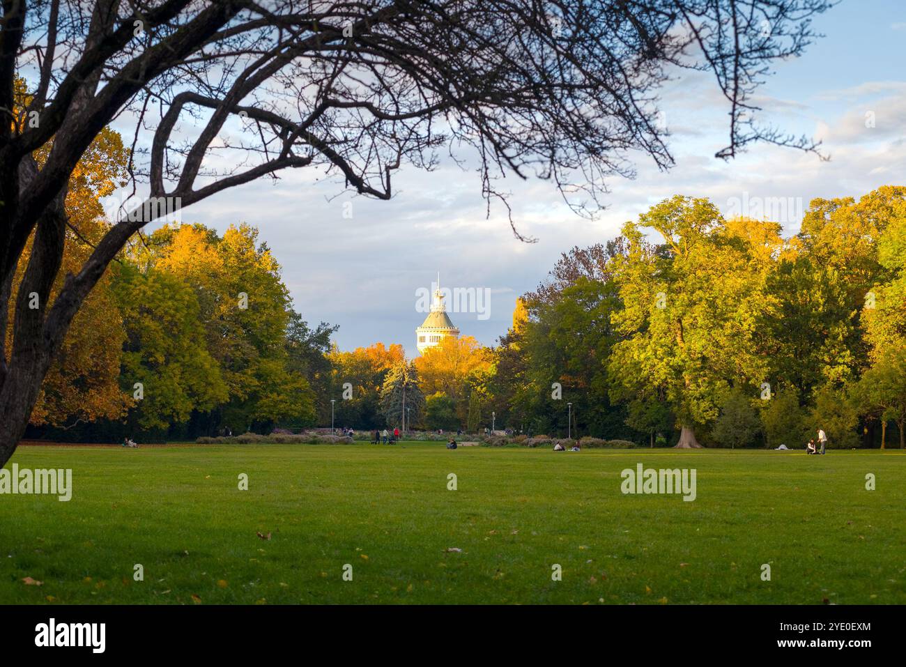 Parco ricreativo sull'isola Margherita, Budapest Foto Stock