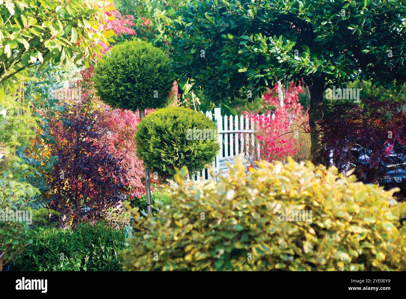 Giardino di autunno Foto Stock