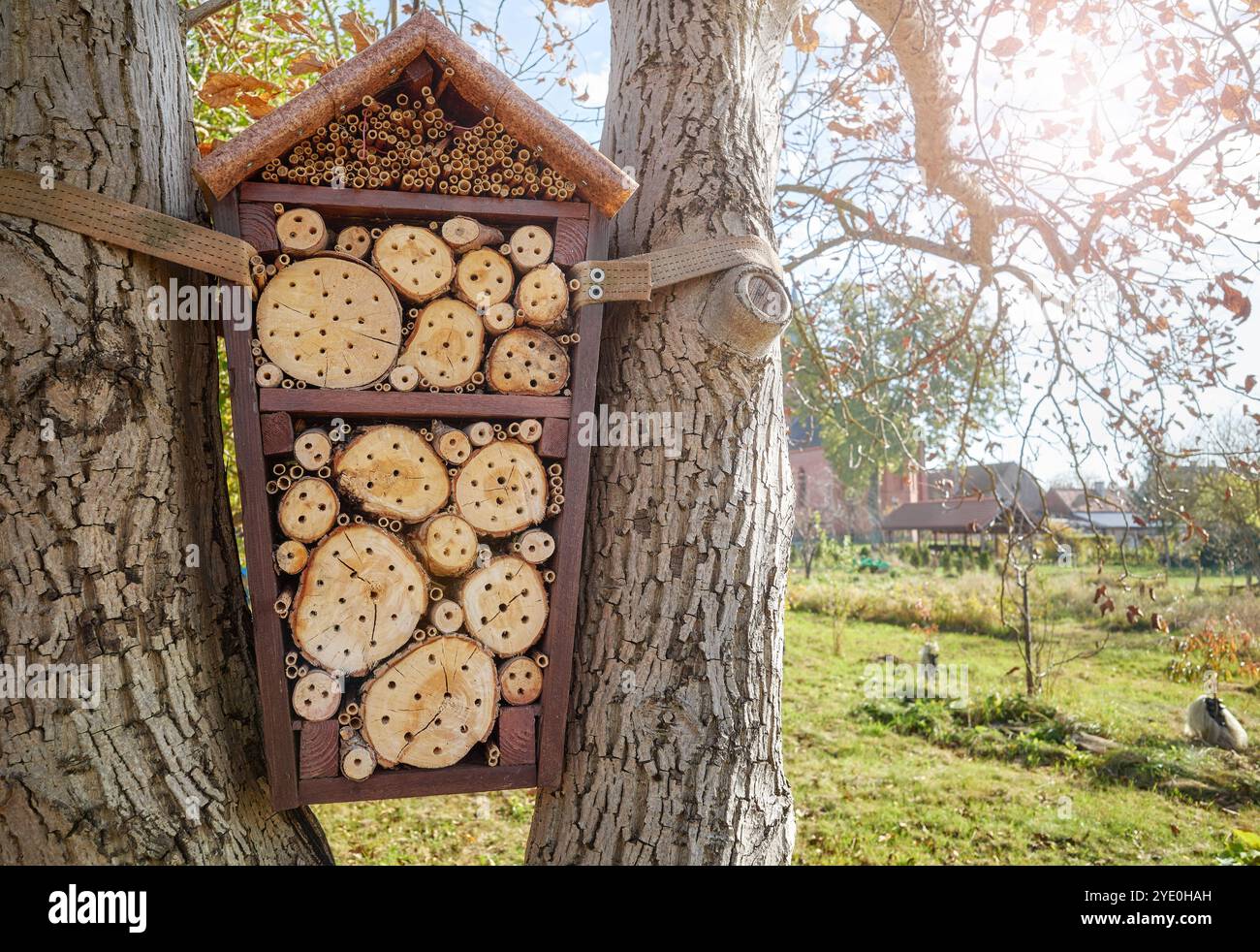 Casa di api e insetti o hotel in un giardino, attenzione selettiva. Foto Stock