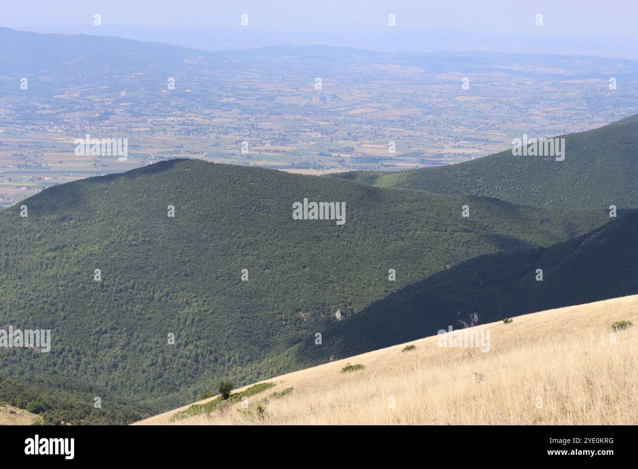 Colline ricoperte da boschi verdi e erba gialla che si affacciano sulla campagna rurale italiana Foto Stock Colline ricoperte da boschi verdi e erba gialla che si affacciano sulla campagna rurale italiana Foto Stock