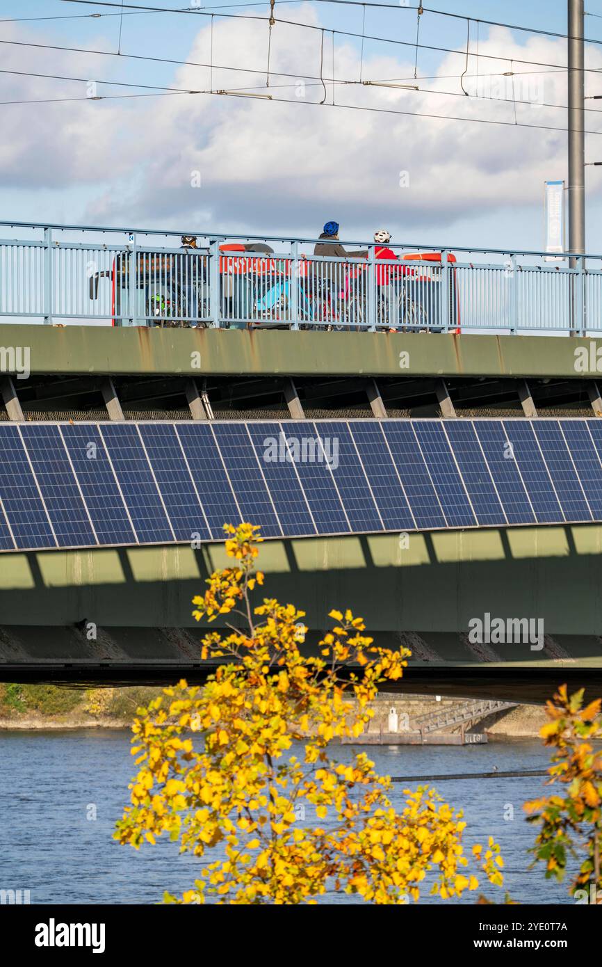 Die Kennedybrücke über den Rhein bei Bonn, längste Brücke mit einer Solaranlage in Deutschland, über 390 Solarmodule sind an der Südseite Straßenbrücke montiert, Leistung 90 kW, Wird ins öffentliche Netz gespeist, NRW, Deutschland, Solaranlage Kennedybrücke *** il ponte Kennedy sul Reno vicino a Bonn, il ponte più lungo con un impianto solare in Germania, oltre 390 moduli solari sono montati sul lato sud del ponte stradale, uscita 90 kW, alimentati nella rete pubblica tedesca, NRW installazione solare del ponte Kennedy Foto Stock