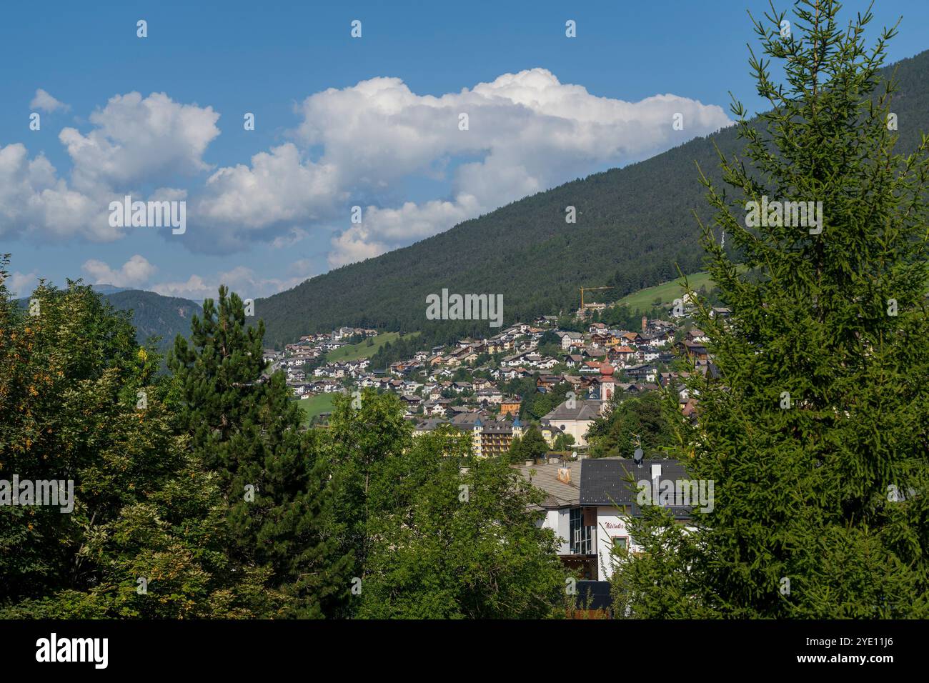 Vista di Ortisei in Val Gardena, Dolomiti, alto Adige e Nord Italia. Foto Stock