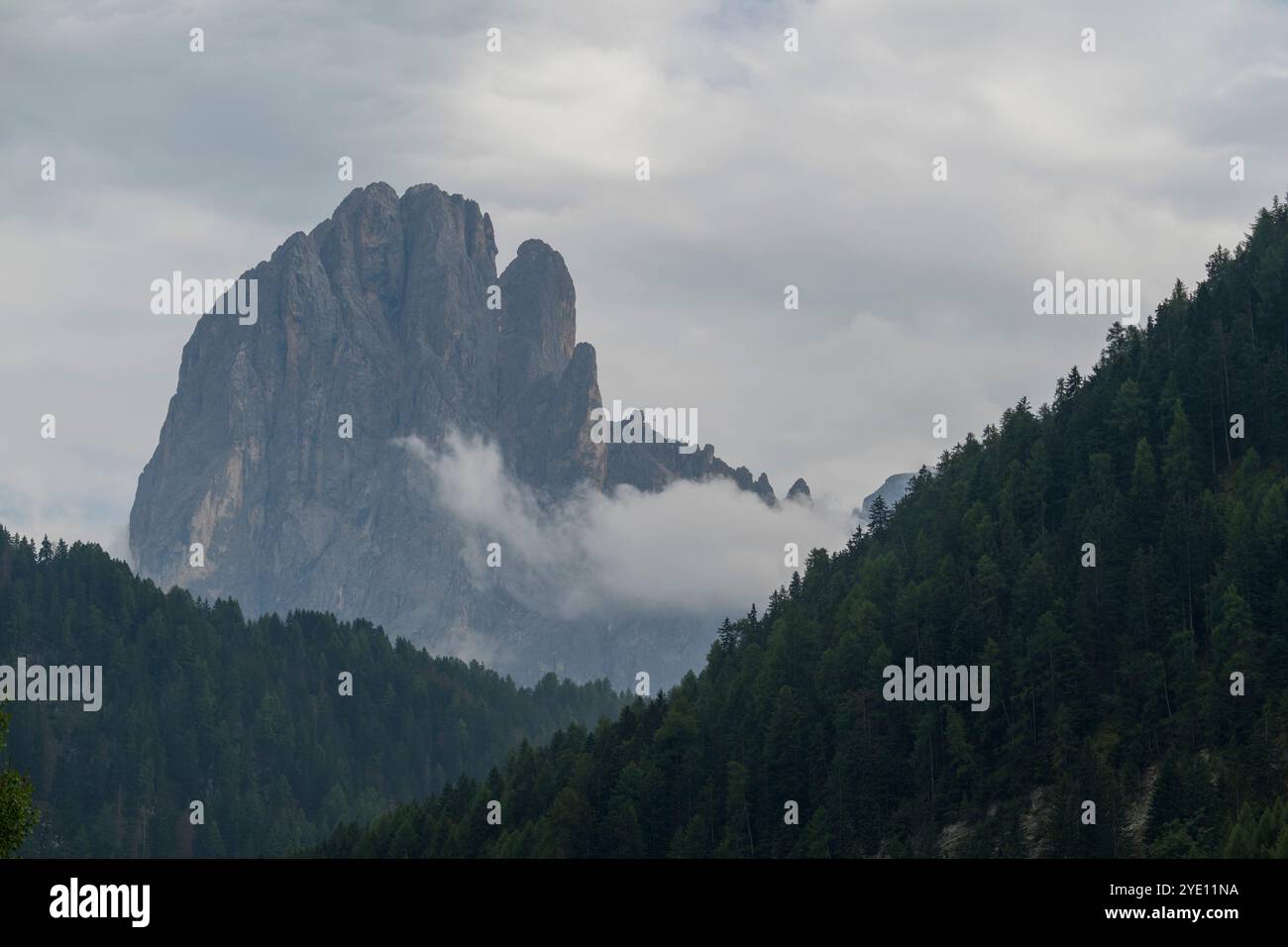 Vista del monte Langkofel (Sassolungo) da Santa Cristina, Val Gardena, Dolomiti, alto Adige e Italia settentrionale. Foto Stock