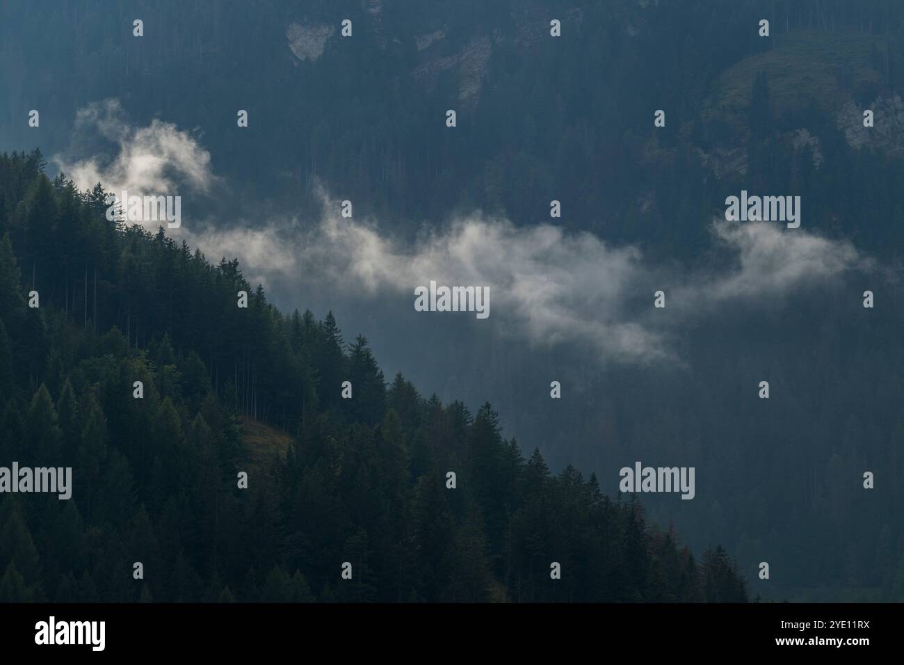 Nebbia che si innalza dal bosco lungo le pareti della Val Gardena, delle Dolomiti, dell'alto Adige e del Nord Italia. Foto Stock