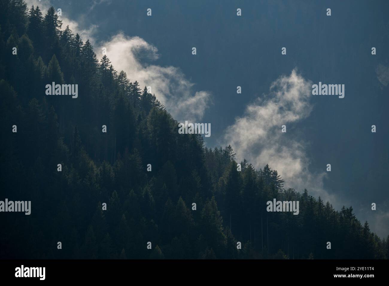 Nebbia che si innalza dal bosco lungo le pareti della Val Gardena, delle Dolomiti, dell'alto Adige e del Nord Italia. Foto Stock