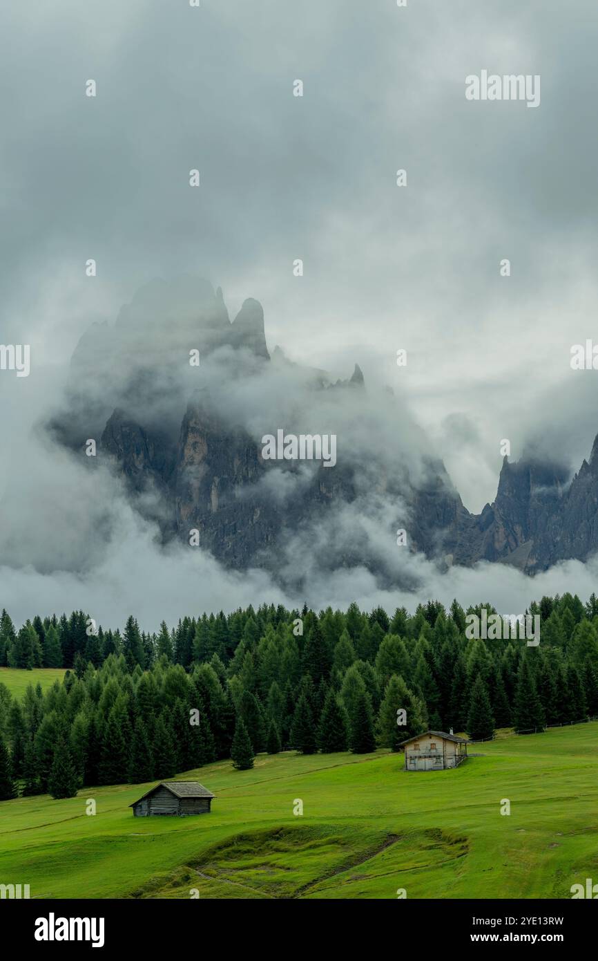 Vista del monte Langkofel (Sassolungo), immerso nelle nuvole dopo la pioggia dall'Alpe di Siusi, il più grande prato alpino d'alta quota Foto Stock