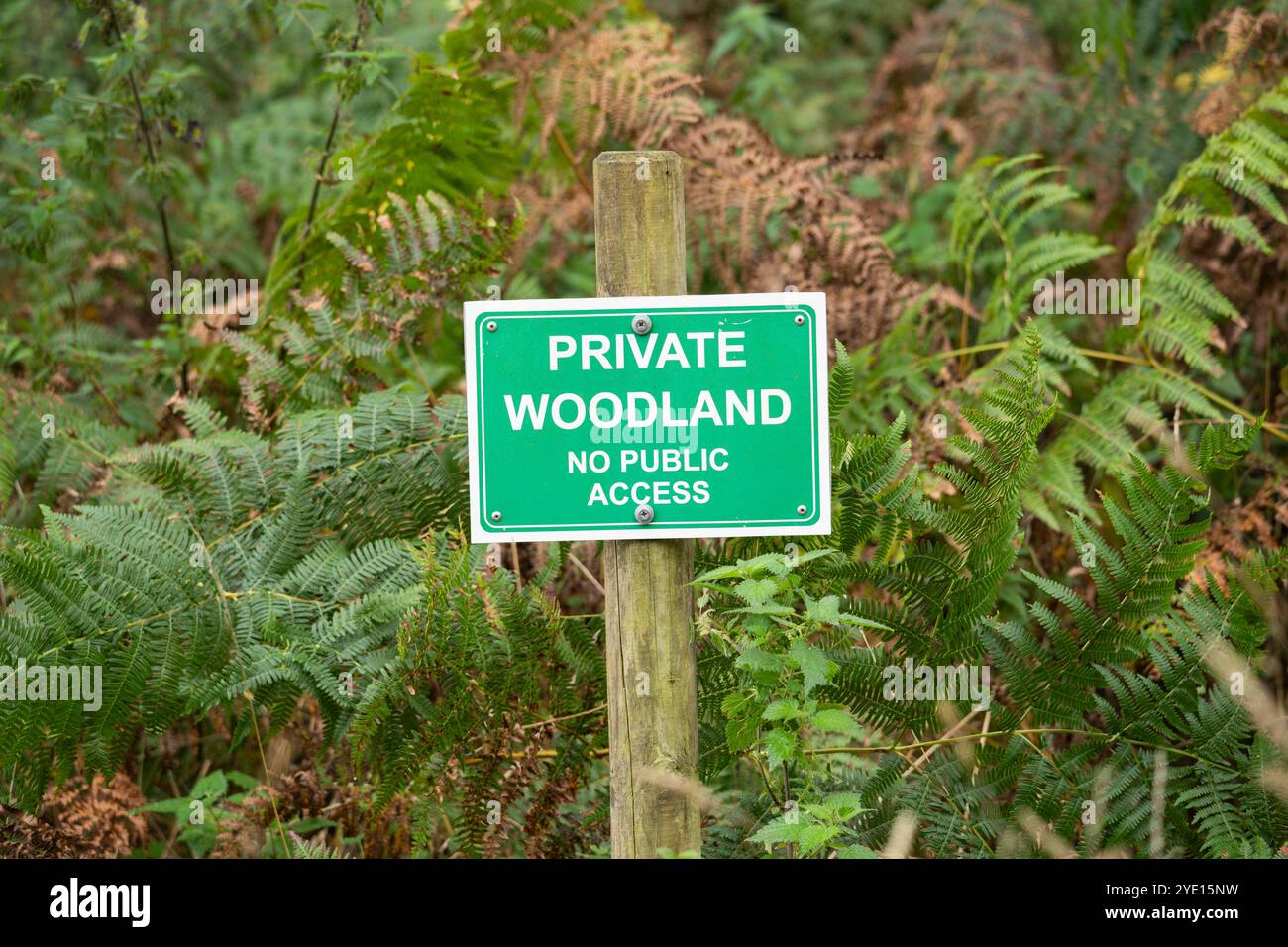 Bosco privato, nessun cartello di accesso pubblico a Hackwood Park, Hampshire, Regno Unito. Concetto: Diritto di passaggio pubblico, atto corvo, diritto di passaggio, terreno privato Foto Stock