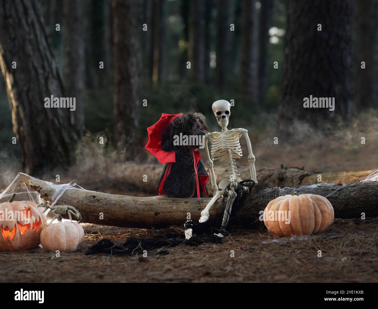 Portachiavi Halloween DOWAY – Set Con Zucca, Vampiro, Mummia, Castello Infestato, Accessori Horror, Regalo Per Donne