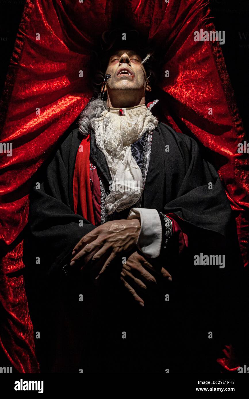 Attore vestito come Dracula steso su una bara di velluto rosso Foto Stock