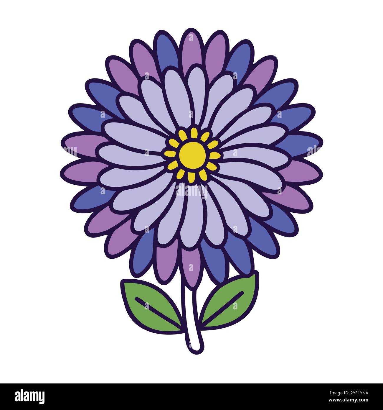 Illustrazione vettoriale del fiore a margherita viola con foglie verdi Illustrazione Vettoriale