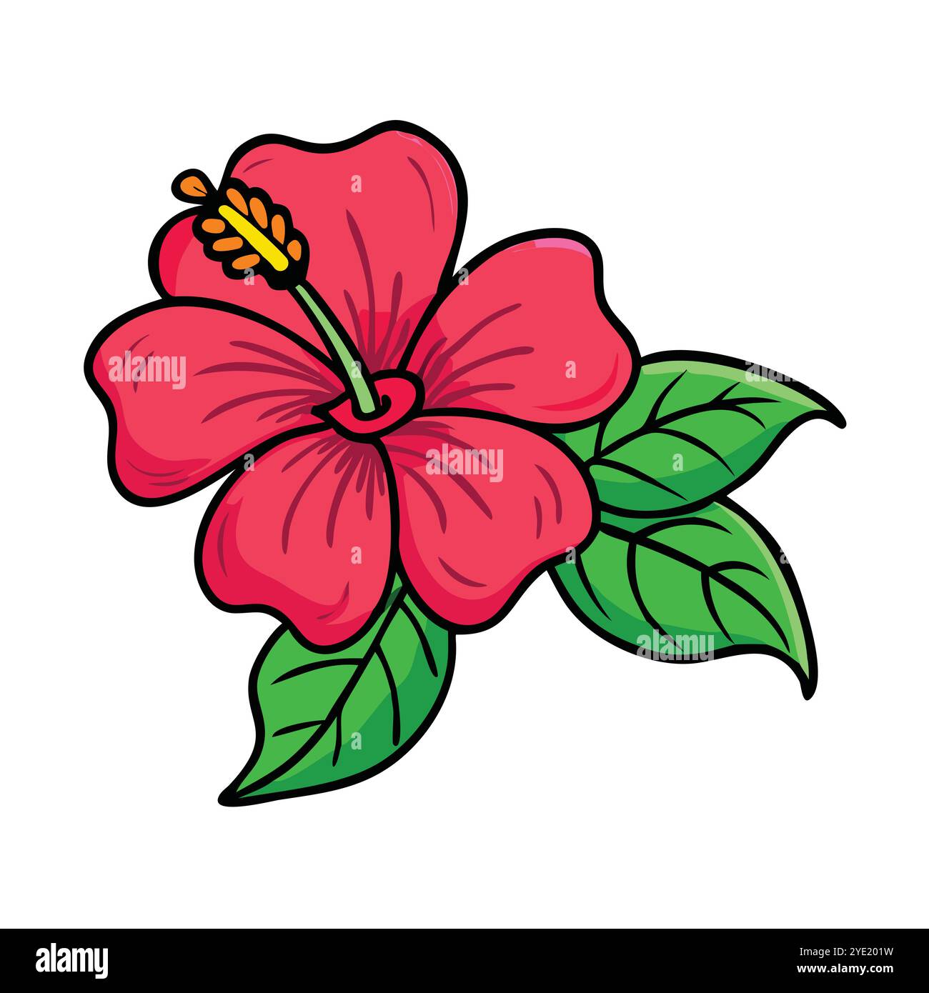 Illustrazione vettoriale del fiore di ibisco rosso con foglie verdi Illustrazione Vettoriale