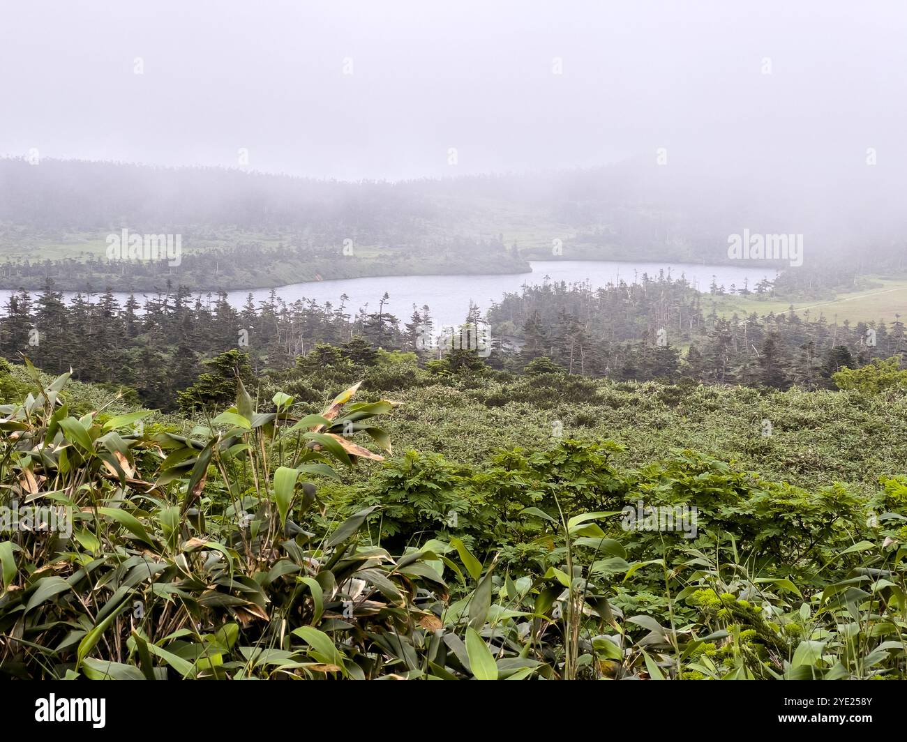 Stagno Hachiman sul monte Hachimantai, parco nazionale Towada-Hachimantai, regione di Tohoku in Giappone. Foto Stock