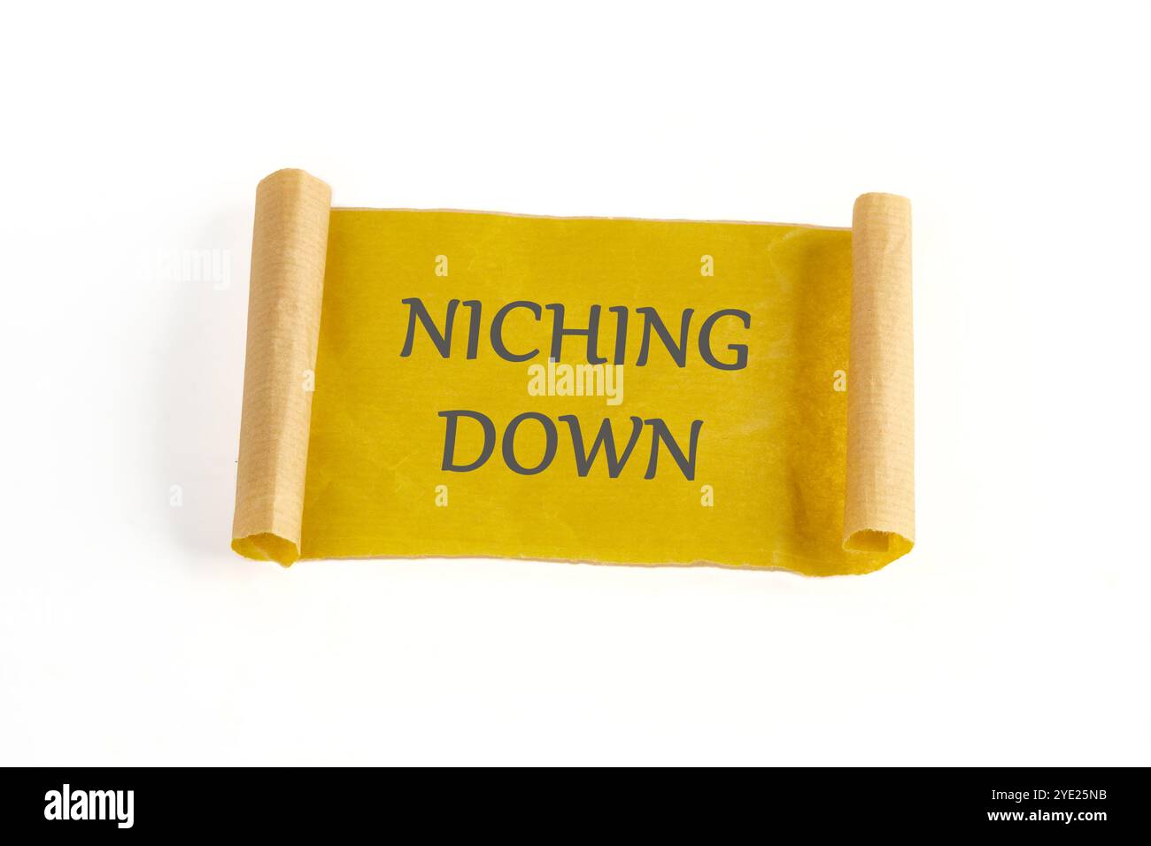 Il concetto di business dell'informazione. Il testo di NICHING DOWN è scritto su sfondo bianco. Foto Stock