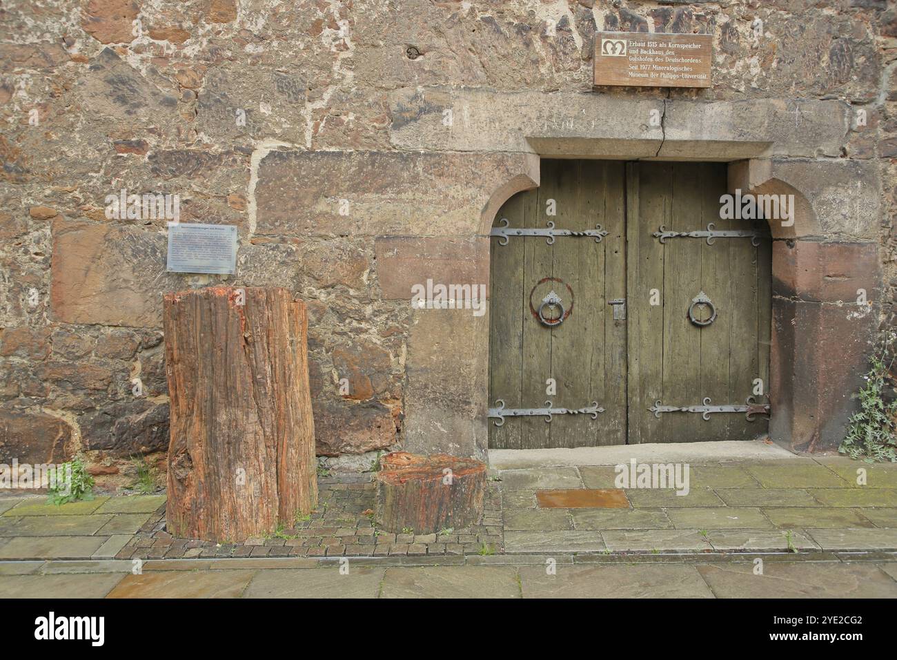 Porta in legno con tronco di alberi fossilizzati dell'Arizona, Museo mineralogico, Università, Firmaneiplatz, Marburgo, Assia, Germania, Europa Foto Stock