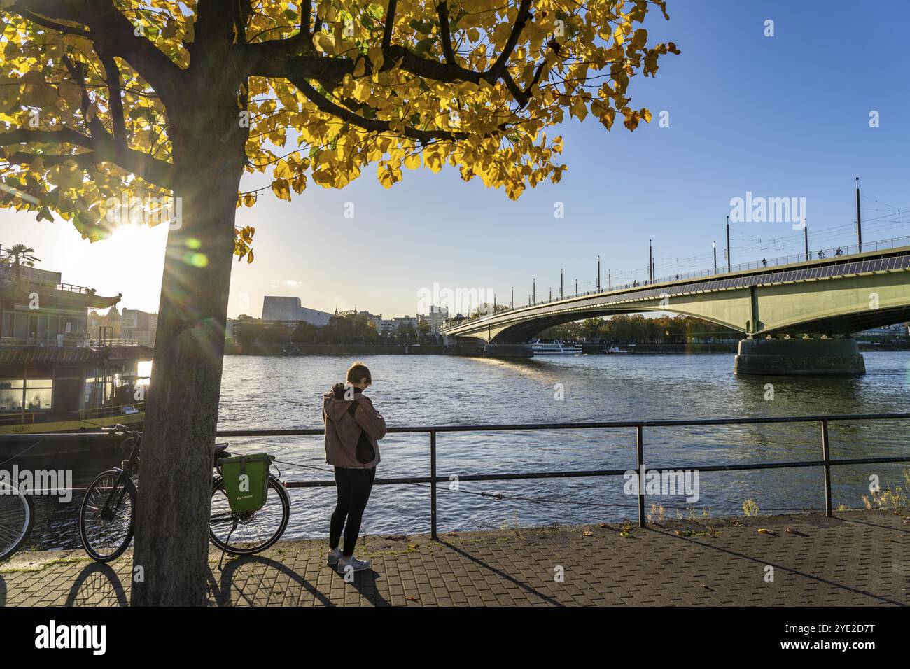 Il ponte Kennedy, al centro dei 3 ponti sul Reno di Bonn, collega il centro di Bonn con il distretto di Beuel, la strada federale B56, le linee della metropolitana leggera e la f Foto Stock