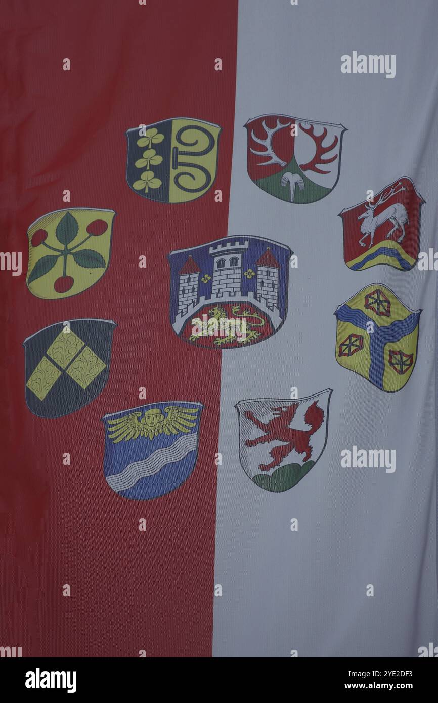 Bandiera della città e quartieri della città, stemma della città con figura di leone e tre torri, rosso, bianco, piazza del mercato, Biedenkopf, Assia, Germania, Europa Foto Stock