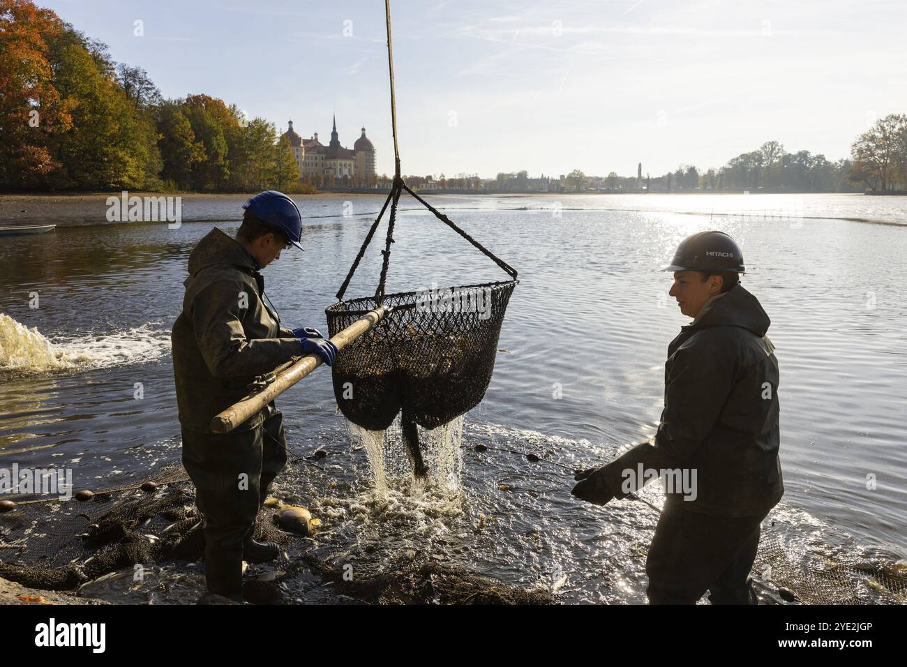 Festival del pesce e della foresta Moritzburg pesca nello stagno del castello, processione di pesca, Festival del pesce e della foresta Moritzburg, Moritzburg, Sassonia, Germania, Foto Stock