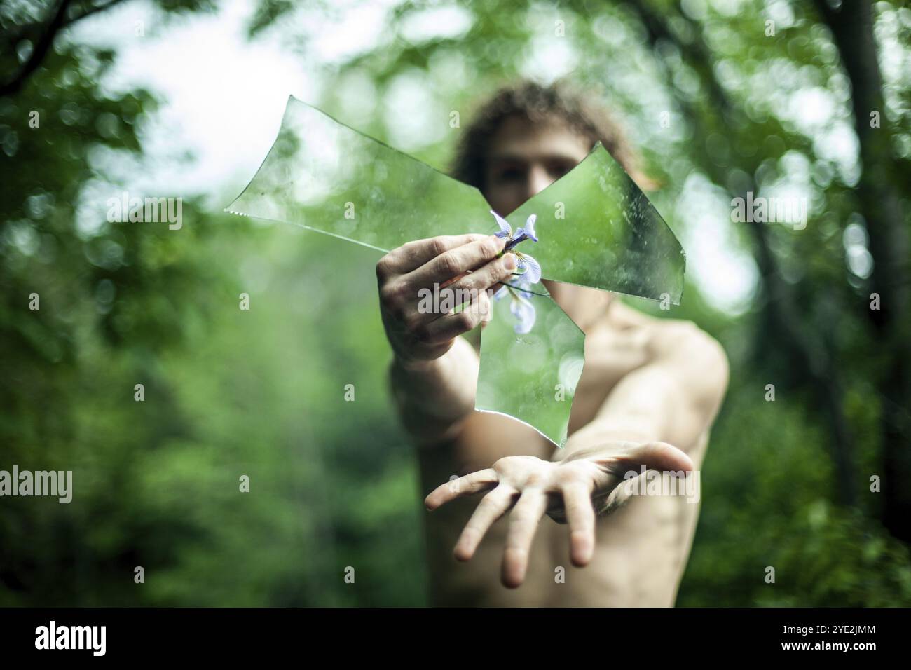 L'uomo in topless presenta 3 frammenti di specchio alla telecamera, nascondendo parte del suo volto e del suo corpo. Tutto il resto è circondato da una foresta verde sfocata Foto Stock