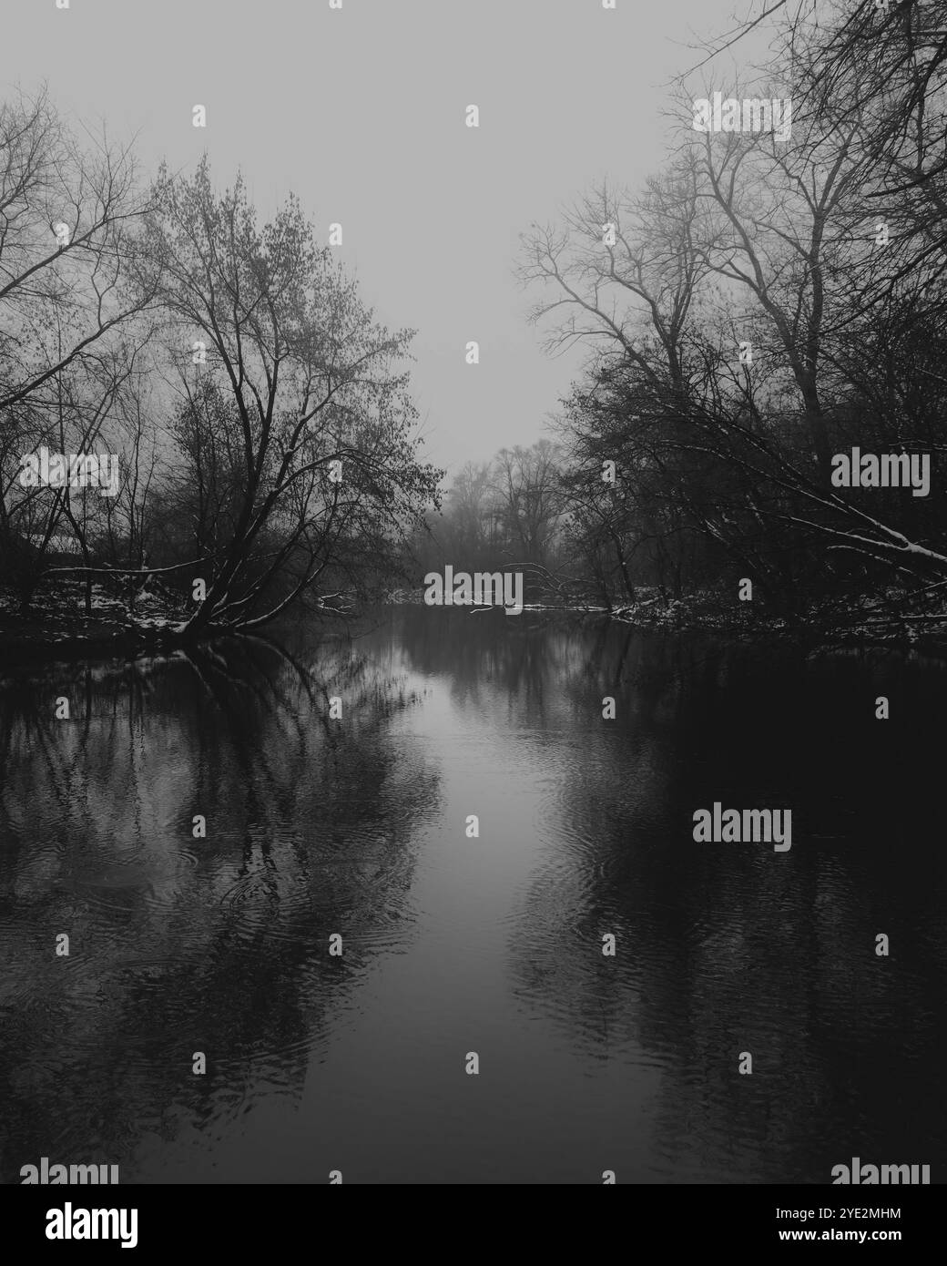 Bosco surrealistico, foresta Black Metal suggestiva, foresta oscura e spettrale, atmosfera horror, colori fantastici Foto Stock