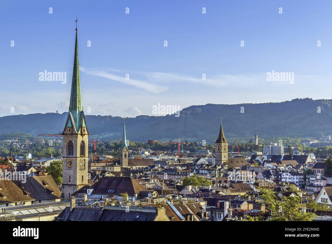 Vista del centro di Zurigo dalla collina universitaria, Svizzera, Europa Foto Stock