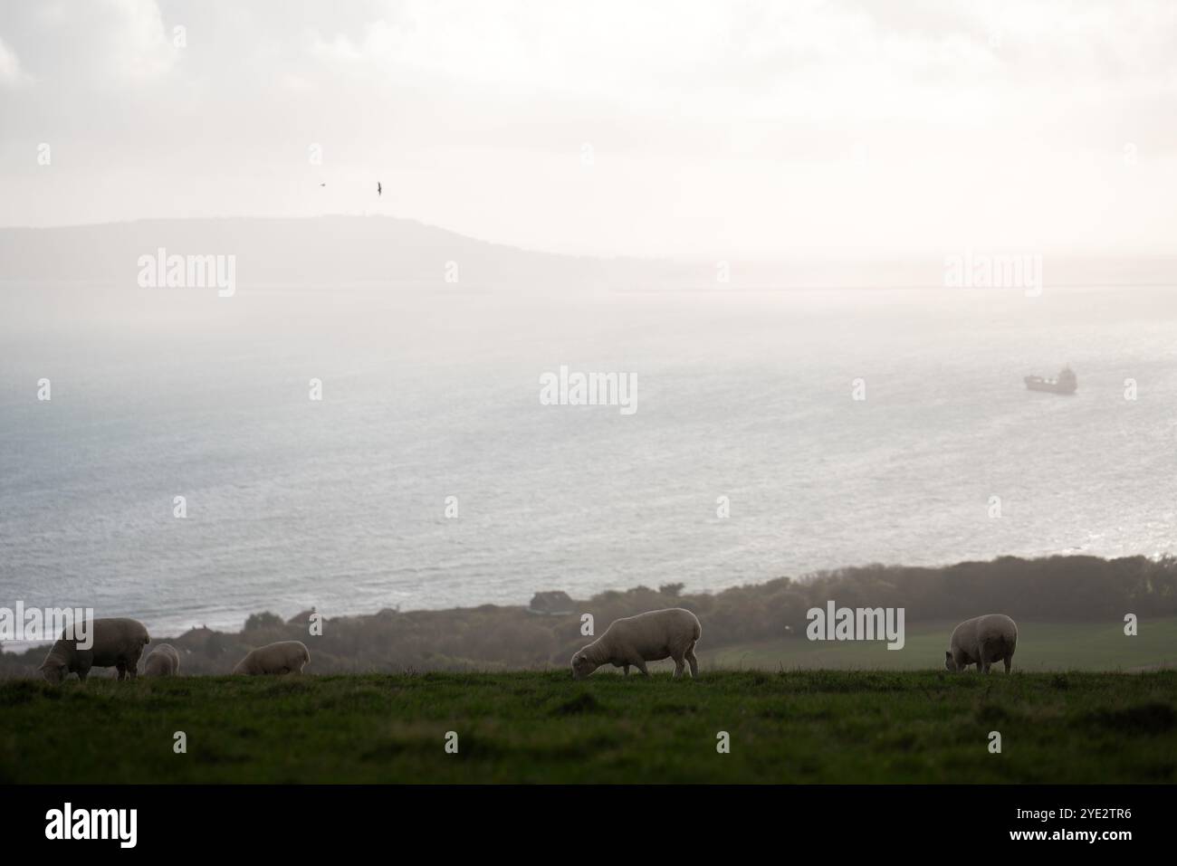 Vista di Portland di fronte alla Ringstead Bay sulla Jurassic Coast nel Dorset, Regno Unito Foto Stock