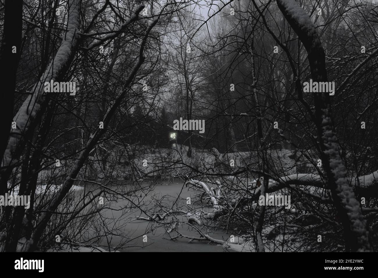 Casa solitaria spaventosa nella foresta, notte nella foresta, luce alla finestra, suggestiva foresta Black Metal, foresta nebbiosa buia spettrale, atmosfera horror Foto Stock