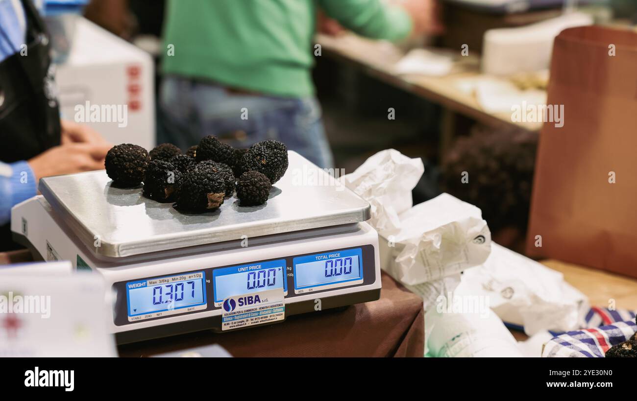 Al Festival del Tartufo d'Alba in Italia, i tartufi vengono pesati con cura su una scala, mettendo in evidenza gli eventi che si concentrano sulle delizie culinarie Foto Stock