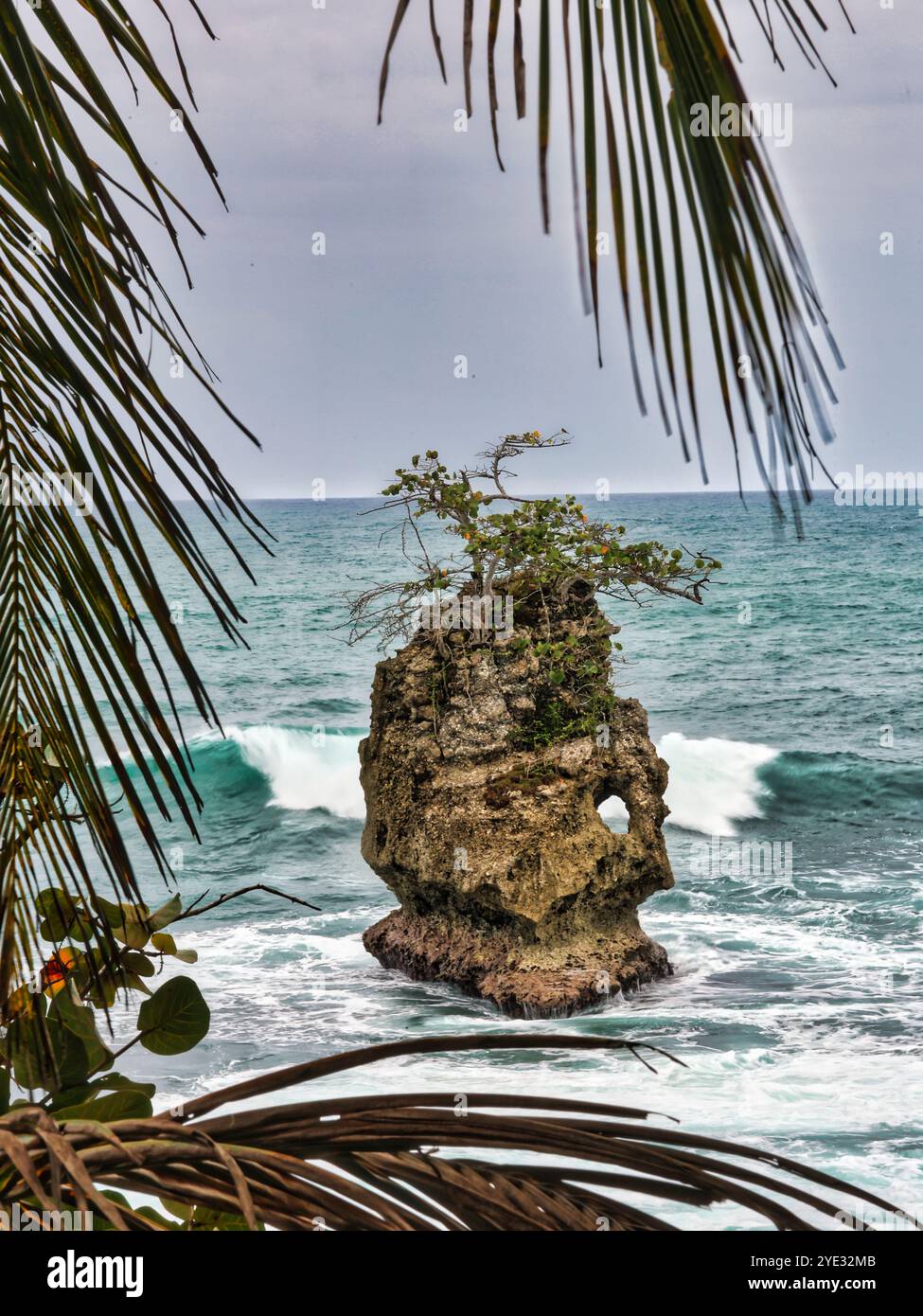 Parco Nazionale Cahuita, Costa Rica Foto Stock
