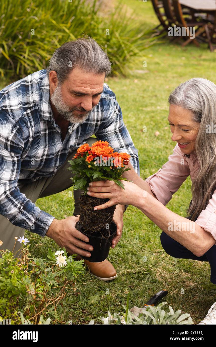 Coppia matura che giardinano insieme, piantando fiori vivaci nel cortile soleggiato, all'aperto Foto Stock