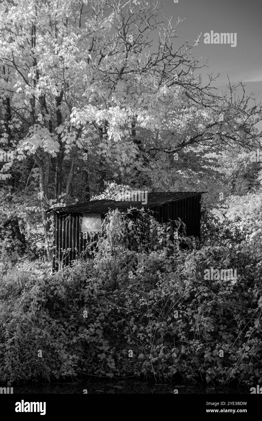 vecchio capannone di ferro ondulato Foto Stock
