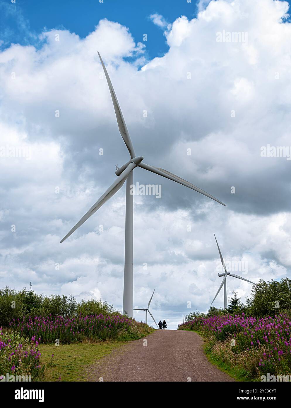 Fotografia paesaggistica di turbine eoliche; mulini a vento; energia eolica; produzione di energia; elettricità; industria; innovazione; energia verde; Whitelee Windfarm, SCO Foto Stock