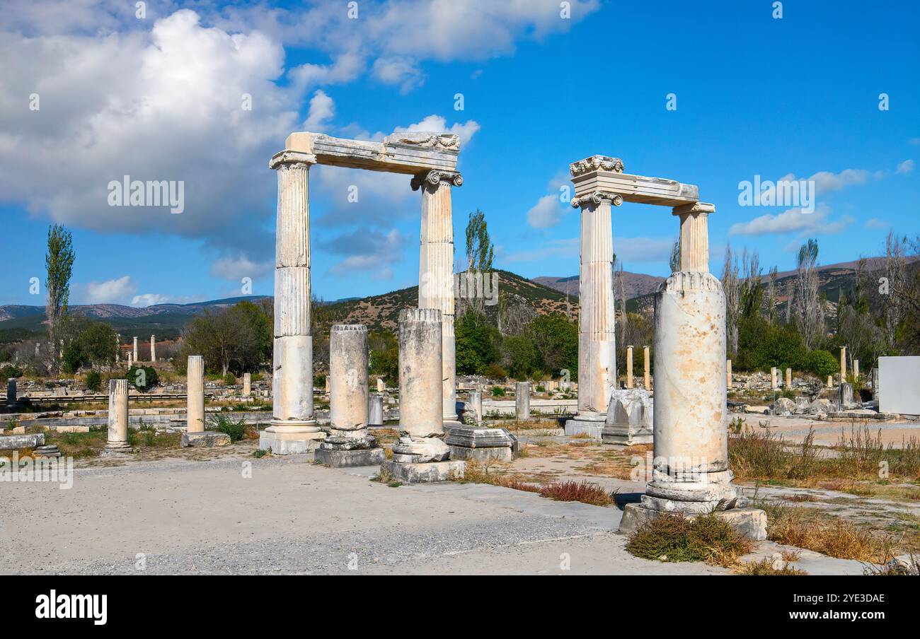 Le rovine di Afrodisia antica città (Afrodisias) in Turchia. La città prende il nome da Afrodite, la dea greca dell'amore Foto Stock