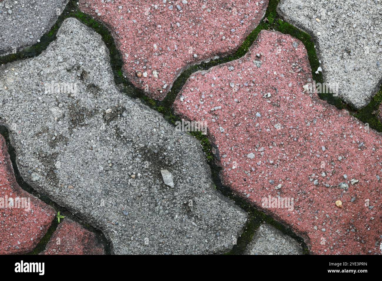 Primo piano di pietre di pavimentazione rosse e grigie con motivi naturali di muschio. Foto Stock
