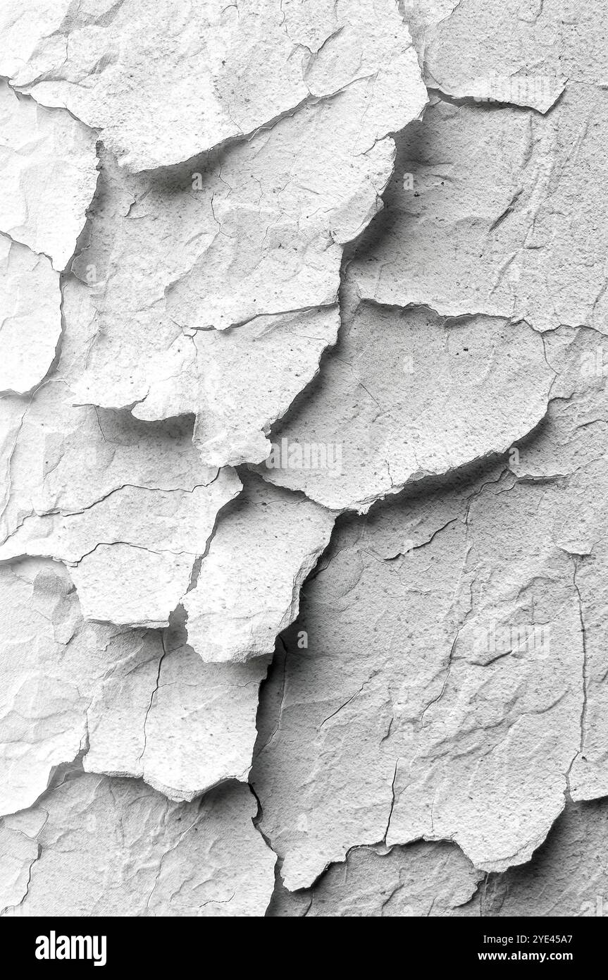 Sfondo grana carta. Carta a grana. Foglio vuoto.spazio per nuove idee creative. Trama di carta bianca sgualcita. Un'idea di business innovativa Foto Stock