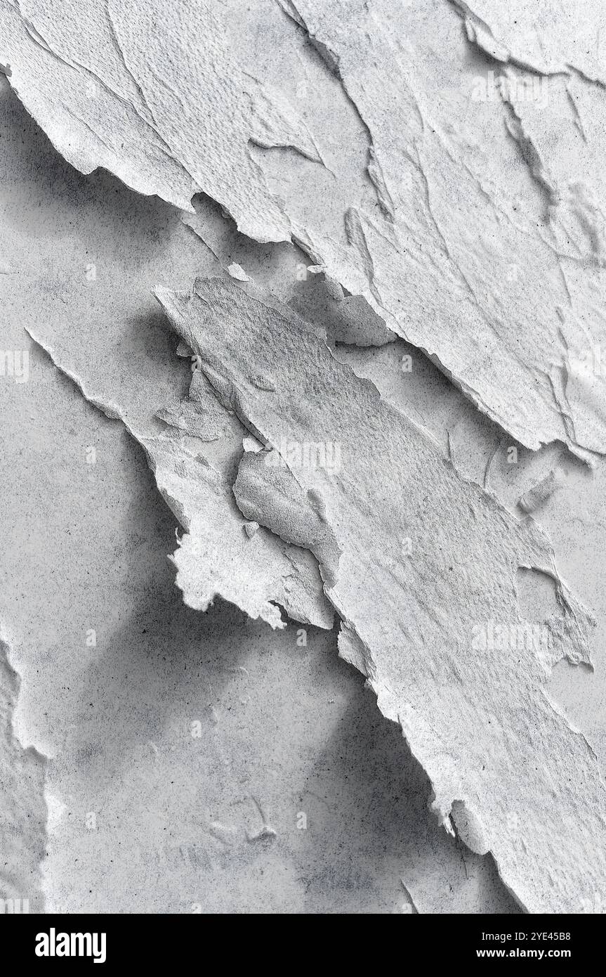 Sfondo grana carta. Carta a grana. Foglio vuoto.spazio per nuove idee creative. Trama di carta bianca sgualcita. Un'idea di business innovativa Foto Stock