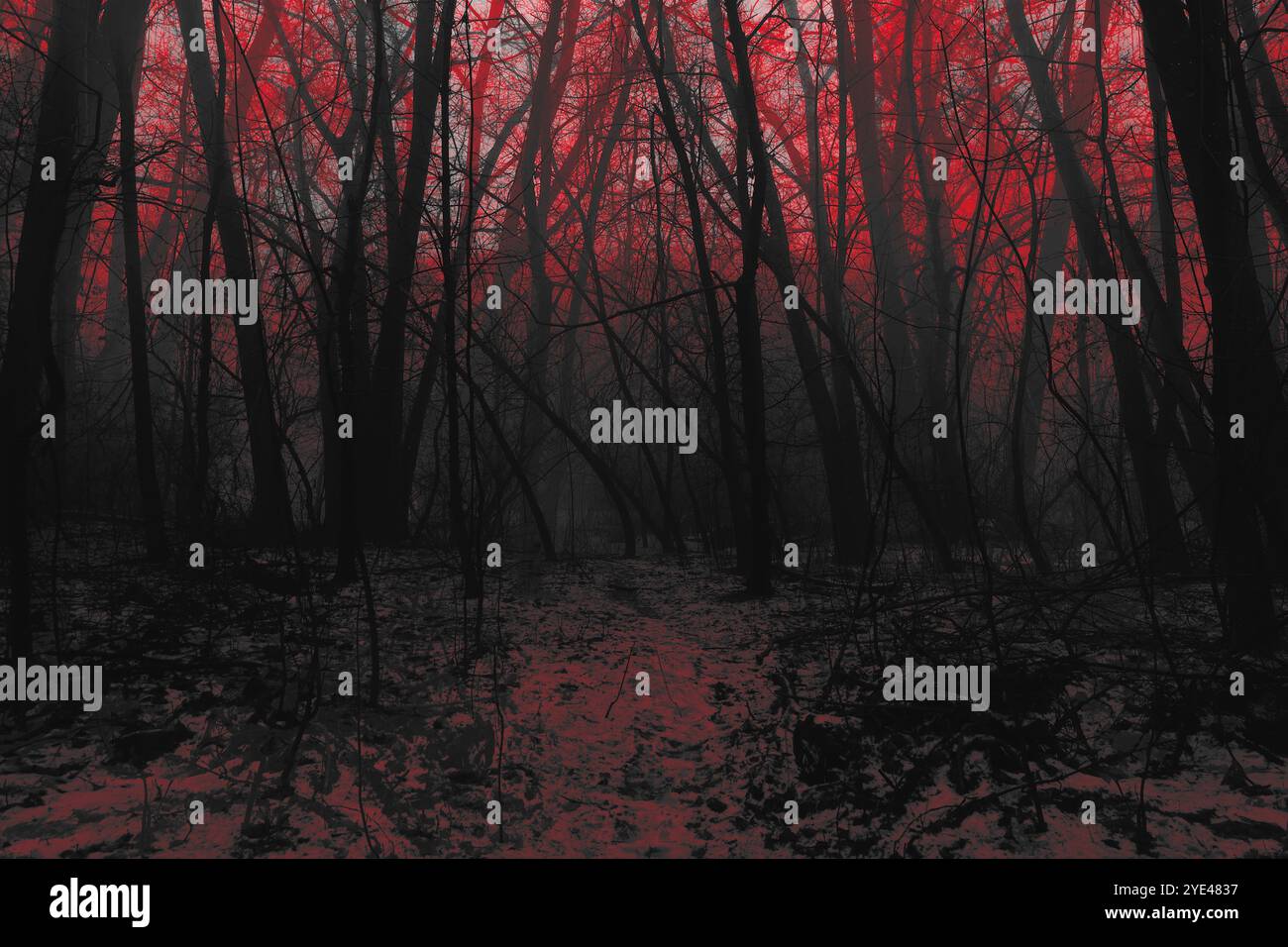 Atmosfera horror rossa nei boschi, suggestiva foresta Black Metal, foresta nebbiosa, oscura e spettrale, atmosfera dark horror Foto Stock
