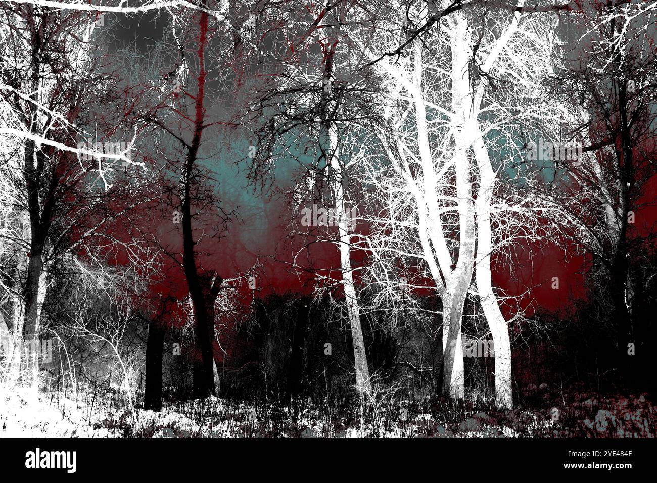 Bosco surrealistico, foresta Black Metal suggestiva, foresta oscura e spettrale, atmosfera horror, colori fantastici Foto Stock