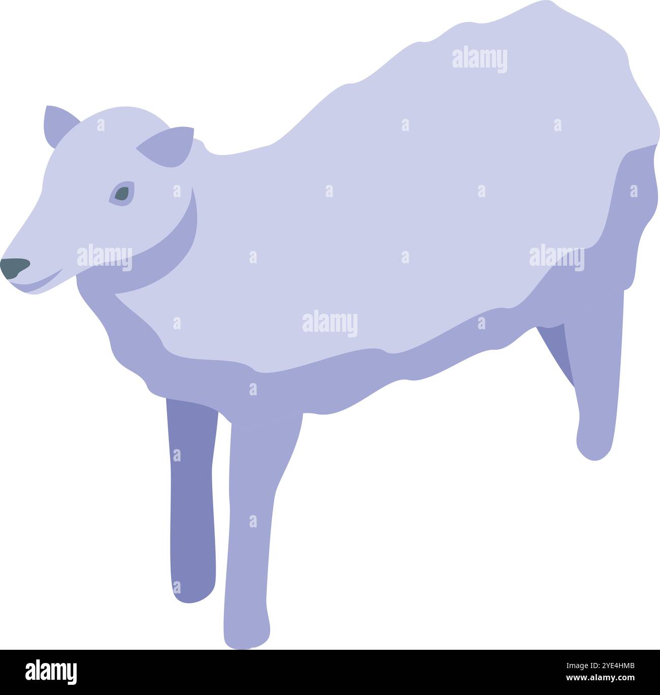 Pecore pascolanti viola in piedi su quattro zampe, raffigurate in vista isometrica, che rappresentano l'allevamento di bestiame Illustrazione Vettoriale