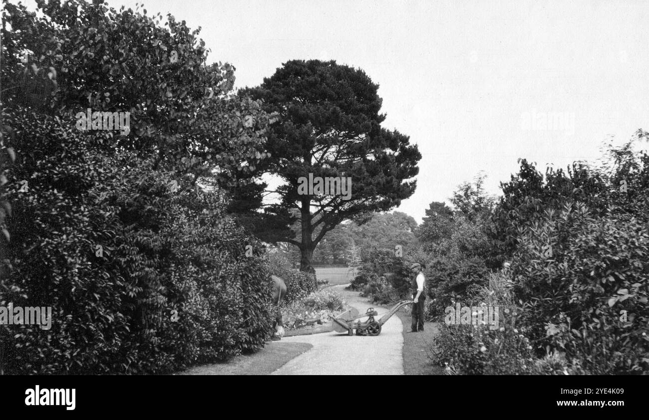 West Sussex, Inghilterra. c.1913 – Un giardiniere che gestisce un tosaerba trainato da cavalli nei terreni di Ferring Grange, situato a Ferring, un villaggio costiero nel West Sussex. Questa tenuta era la casa di Edwin Henty, J. P, D.L., F.S.A. (1844 – 1916), che era stato alto sceriffo del Sussex. Nel 1924, la casa fu convertita in un hotel alla moda, visitato da molte celebrità tra cui Edoardo, il Principe di Galles (in seguito noto come Duca di Windsor). La casa fu distrutta da un incendio nell'ottobre 1946. Foto Stock