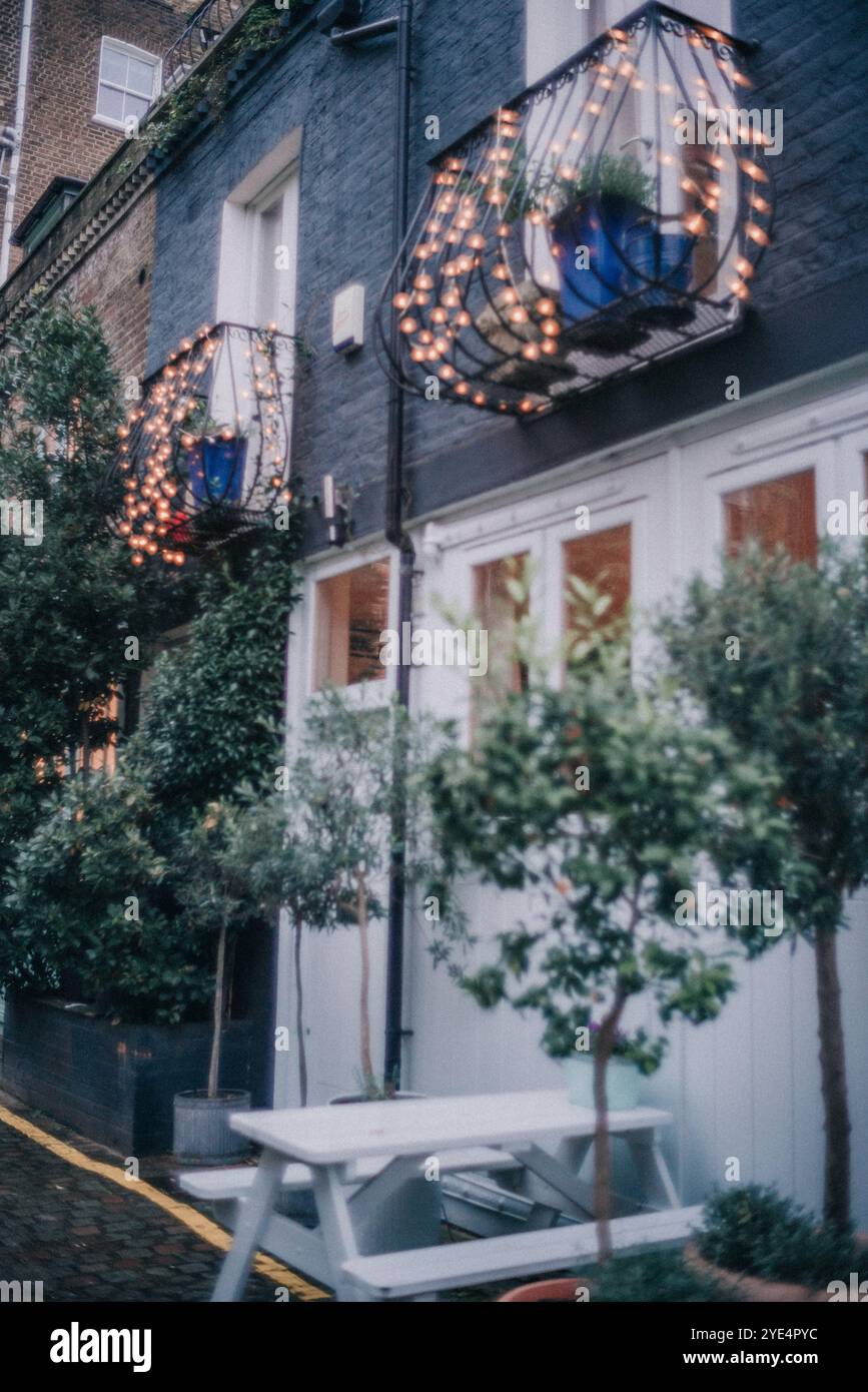 Porta d'ingresso e ingresso sulle splendide strade di Notting Hill mews in autunno, Londra Foto Stock