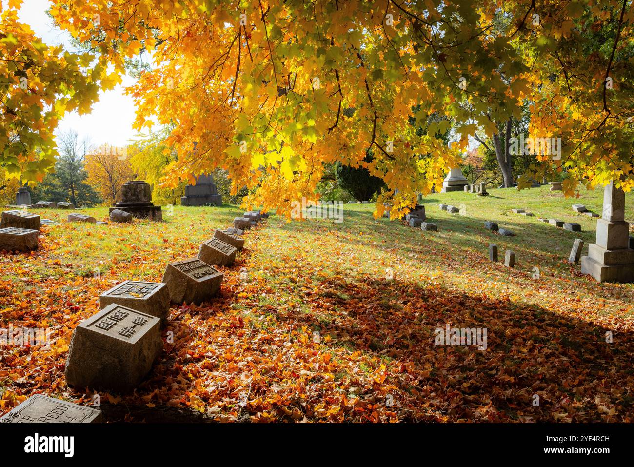 Woodland Cemetery Foto Stock