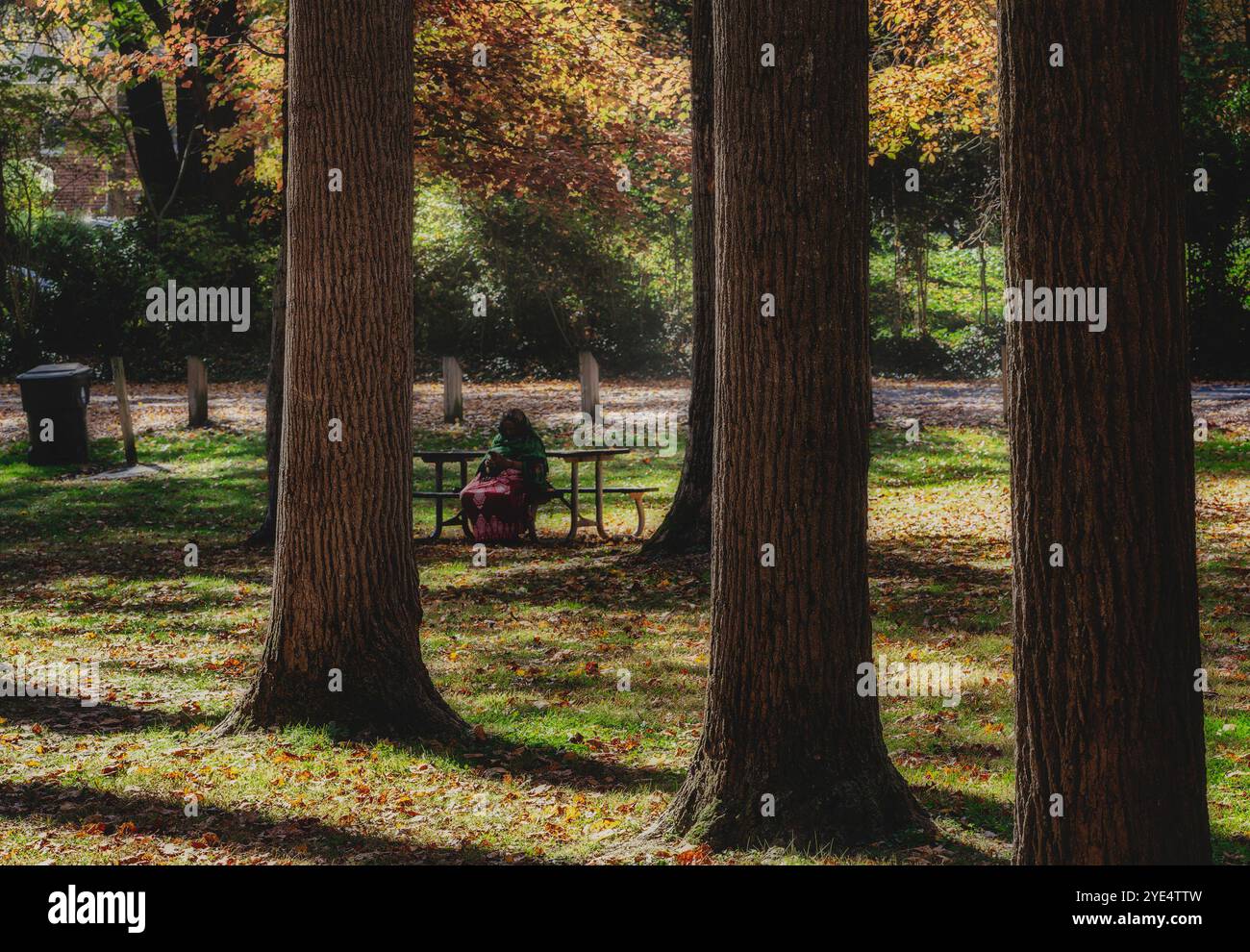 Una figura da sola in un parco Foto Stock